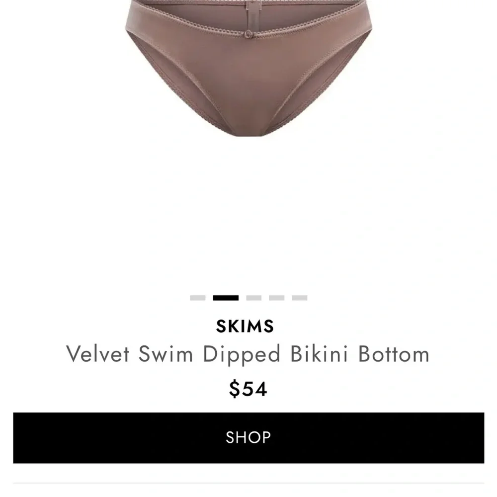 SKIMS Velvet Brown Bikini Bottom